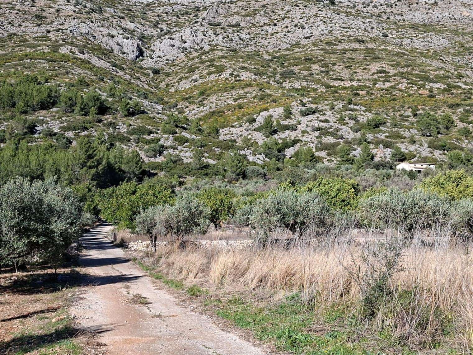 Finca/Casa Rural en Benigembla / Benichembla en venta - 170.000 € (Ref: 9627272)