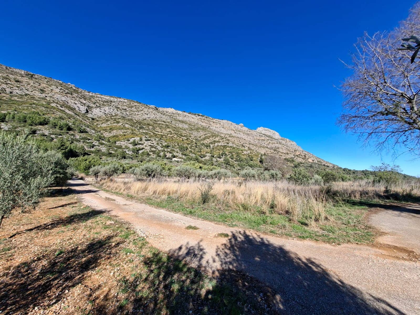 Finca/Casa Rural en Benigembla / Benichembla en venta - 170.000 € (Ref: 9627272)