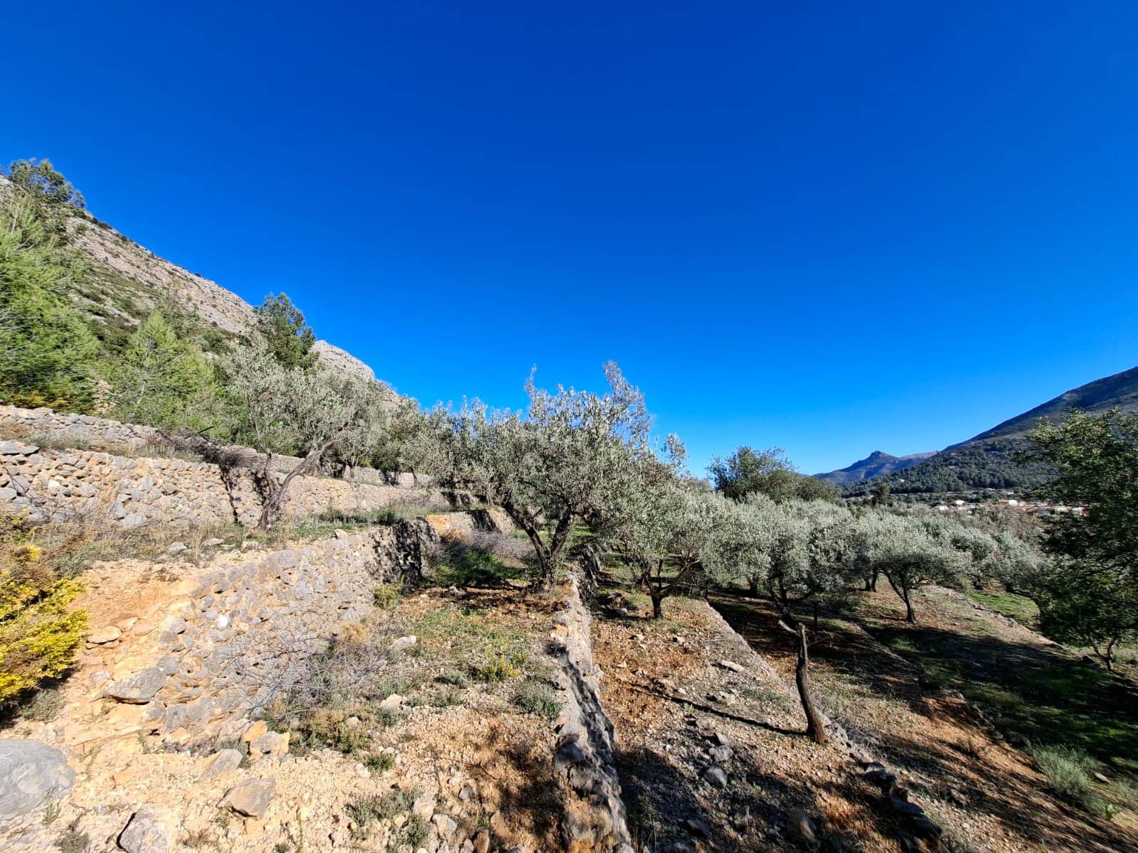 Finca/Casa Rural en Benigembla / Benichembla en venta - 170.000 € (Ref: 9627272)