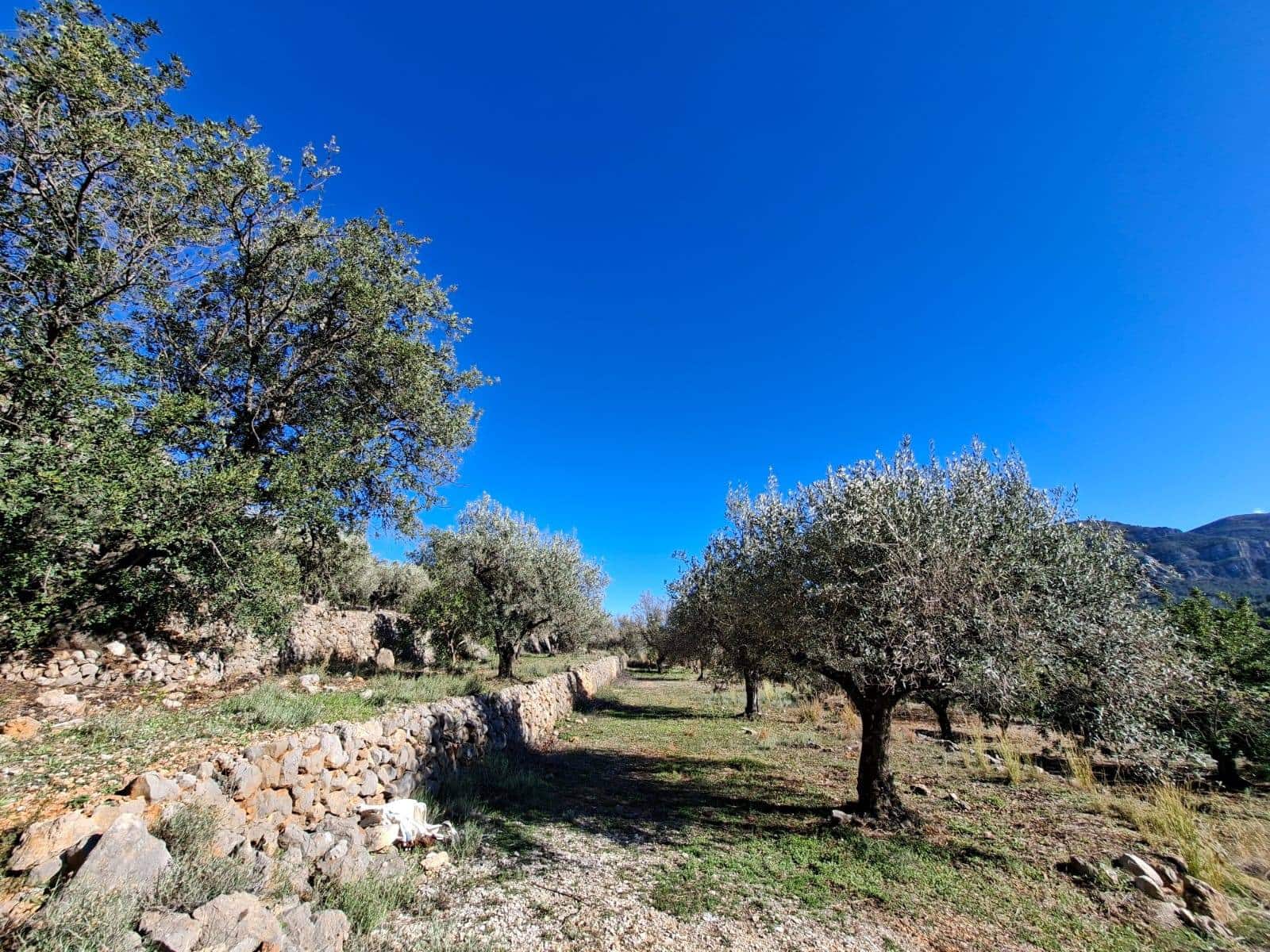 Finca/Casa Rural en Benigembla / Benichembla en venta - 170.000 € (Ref: 9627272)