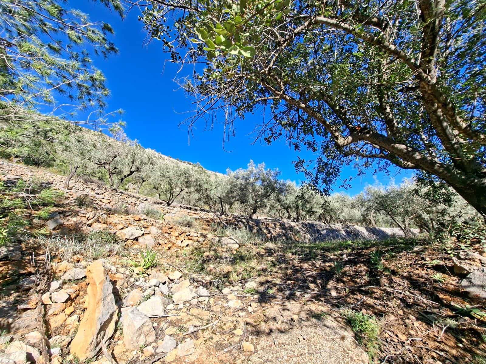 Finca/Casa Rural en Benigembla / Benichembla en venta - 170.000 € (Ref: 9627272)