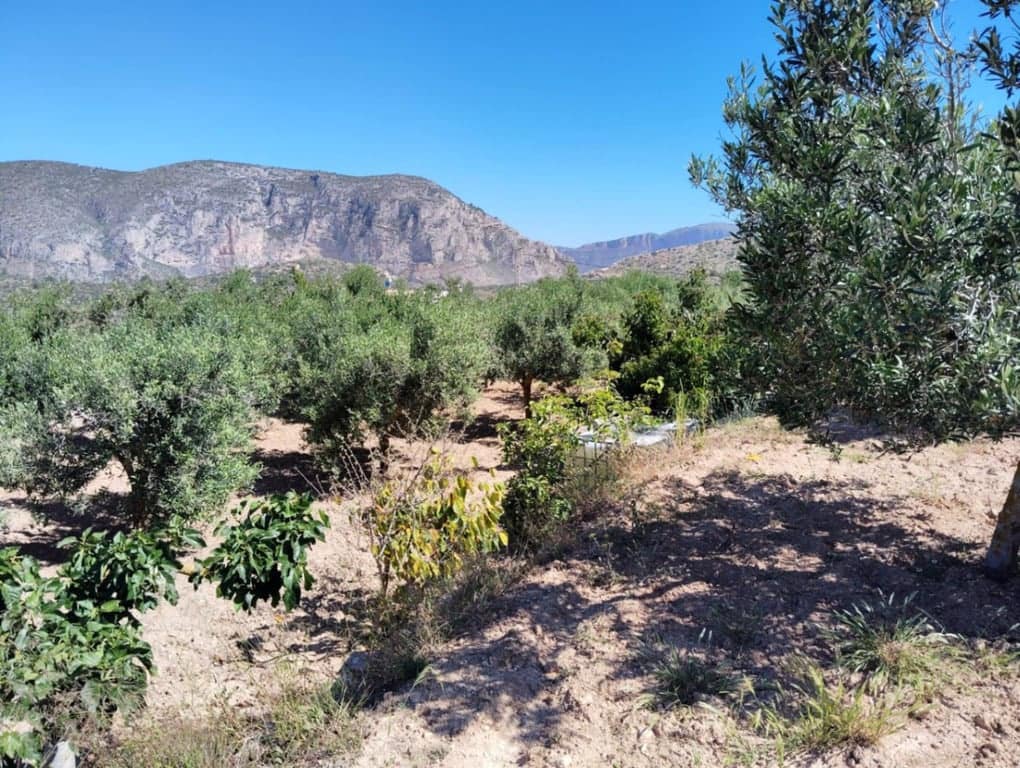 3 bedroom Finca/Country House for sale in Teulada with pool garage - € 530,000 (Ref: 9816879)
