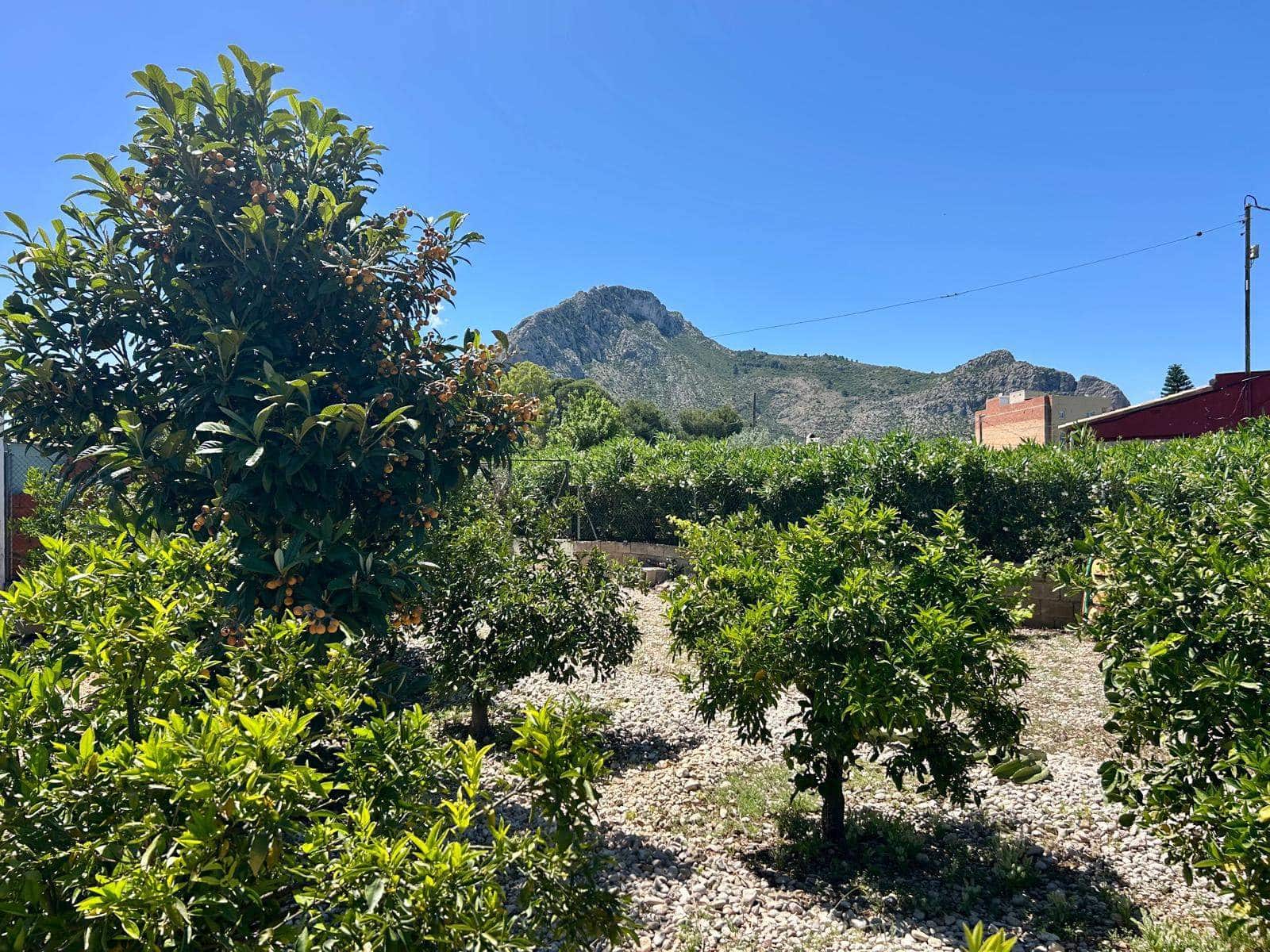 3 chambre Finca/Maison de Campagne à vendre à El Vergel / Verger avec garage - 399 950 € (Ref: 9863883)
