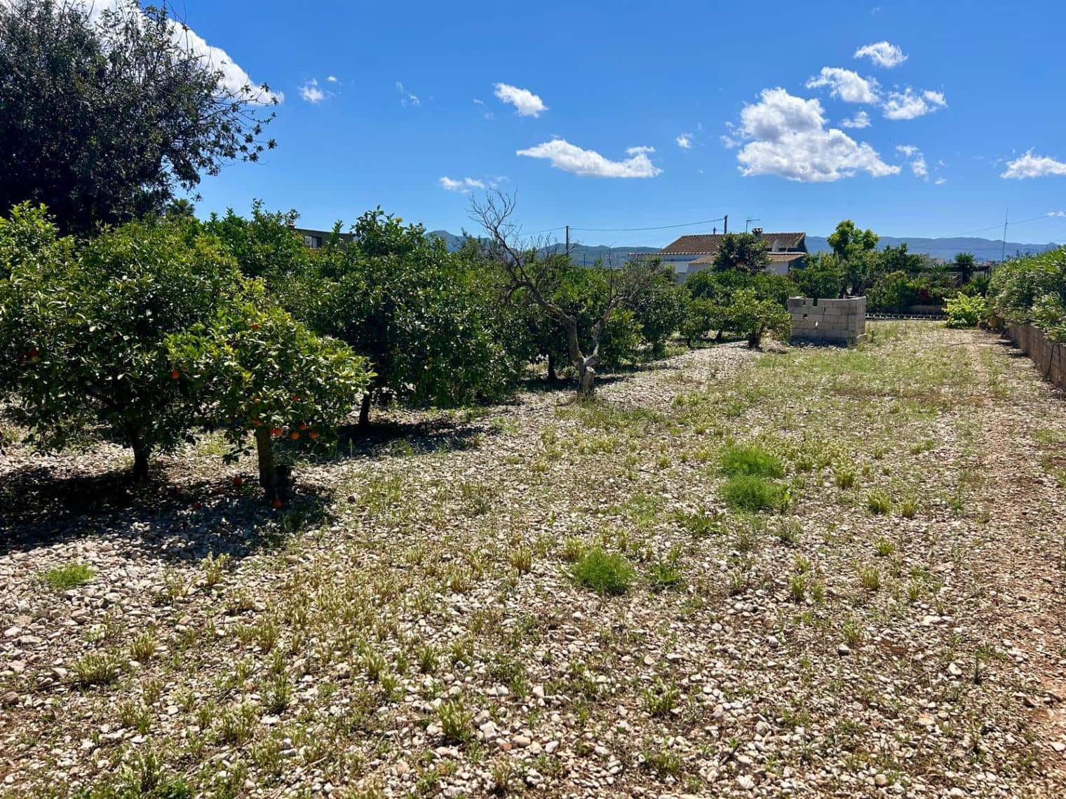 3 chambre Finca/Maison de Campagne à vendre à El Vergel / Verger avec garage - 399 950 € (Ref: 9863883)