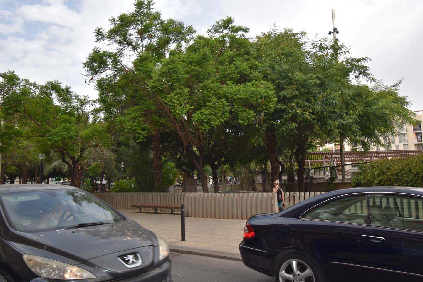 Negocio de 1 habitación en Elche / Elx en venta - 180.000 € (Ref: 7703594)