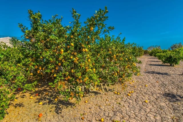 Grond te koop in Callosa de Segura - € 146.400 (Ref: 8237388)