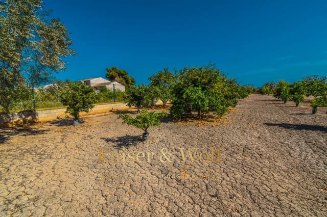 Grond te koop in Callosa de Segura - € 146.400 (Ref: 8237388)