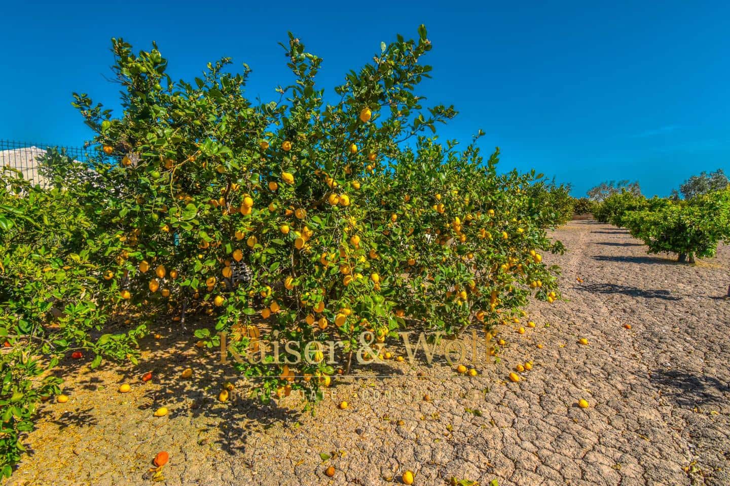 Grunde uden byggetilladelser til salg i Callosa de Segura - € 146.400 (Ref: 8237388)