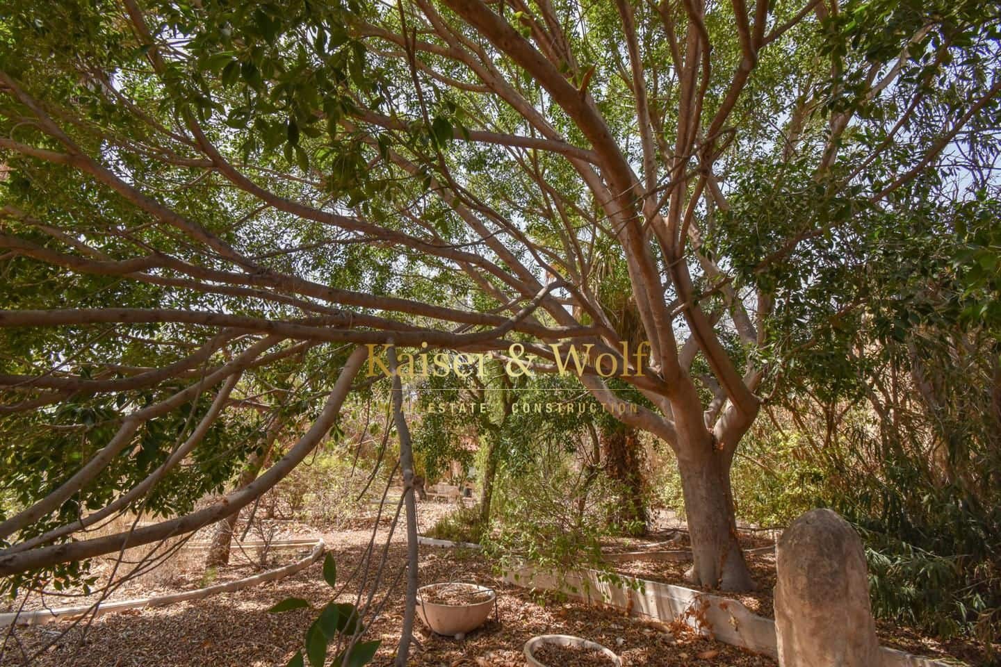 4 soveværelse Villa til salg i Crevillente / Crevillent med swimmingpool garage - € 386.000 (Ref: 8332974)