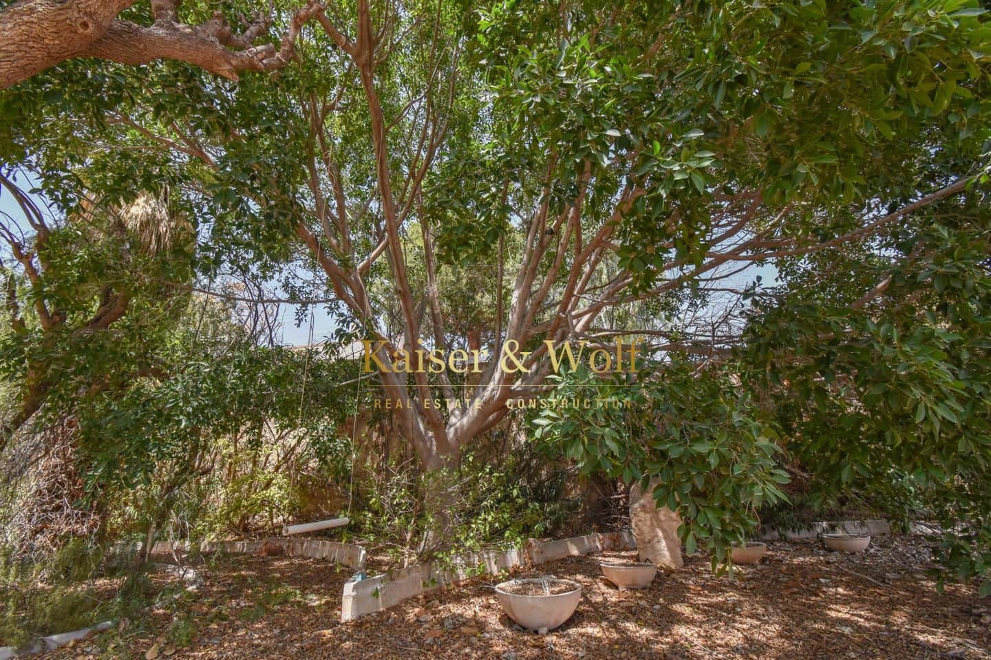 4 soveværelse Villa til salg i Crevillente / Crevillent med swimmingpool garage - € 386.000 (Ref: 8332974)