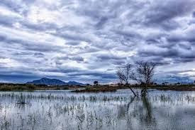 Grunde uden byggetilladelser til salg i Elche / Elx - € 1.485.000 (Ref: 8342121)