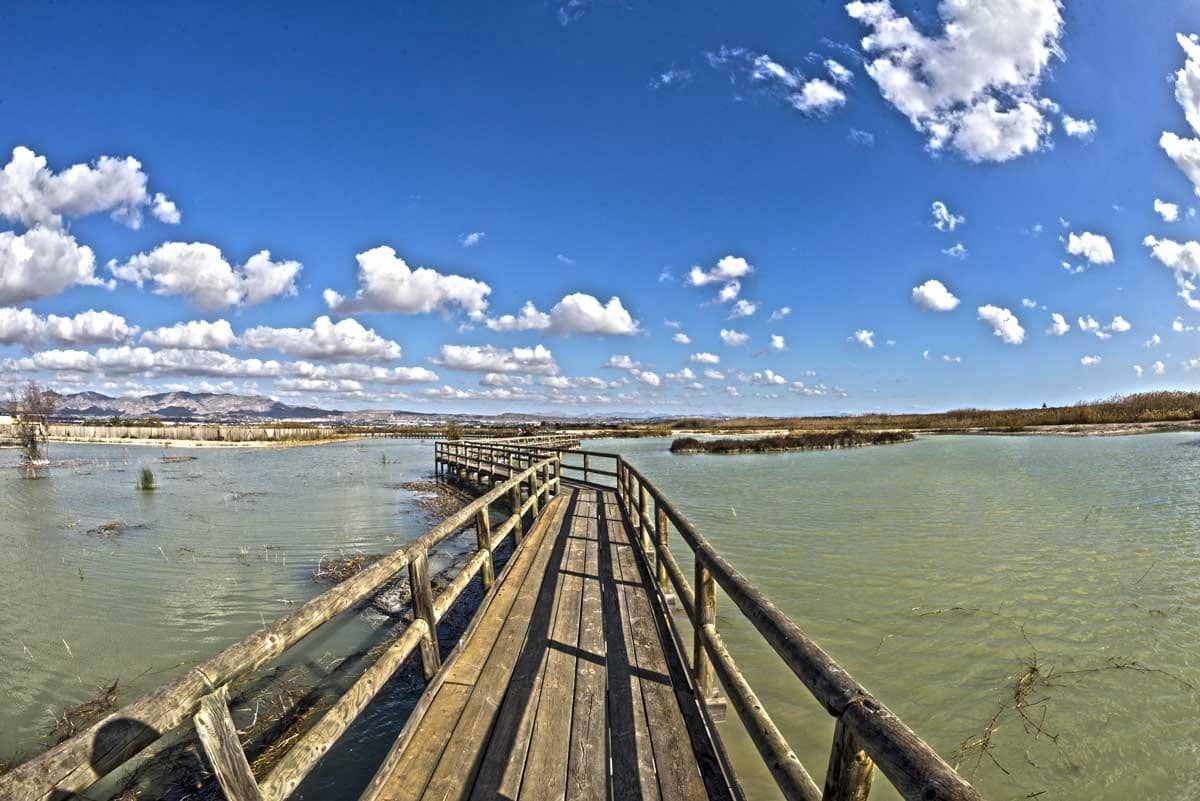 Grunde uden byggetilladelser til salg i Elche / Elx - € 1.485.000 (Ref: 8342121)