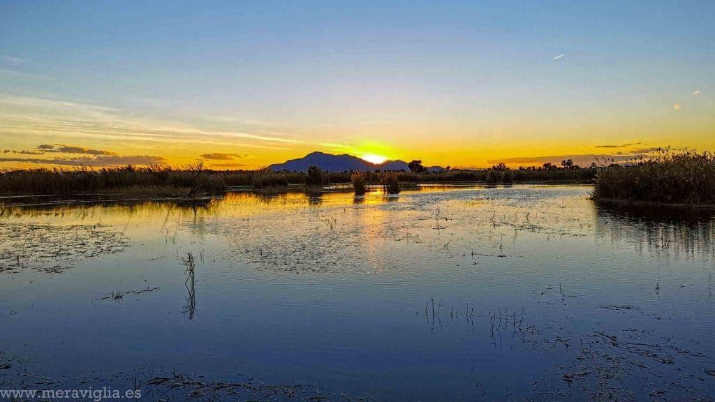 Grunde uden byggetilladelser til salg i Elche / Elx - € 1.485.000 (Ref: 8342121)