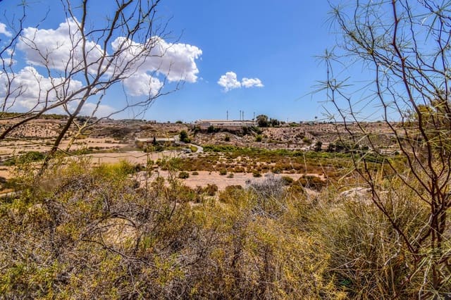 Undeveloped Land for sale in Peña de las Águilas, Elche / Elx - € 1,485,000 (Ref: 8342121)