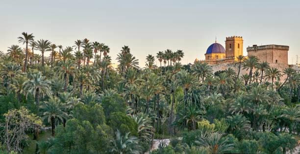 Grunde uden byggetilladelser til salg i Elche / Elx - € 1.485.000 (Ref: 8342121)