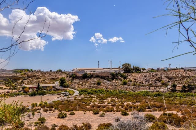 Grond te koop in Peña de las Águilas, Elche / Elx - € 1.485.000 (Ref: 8342121)