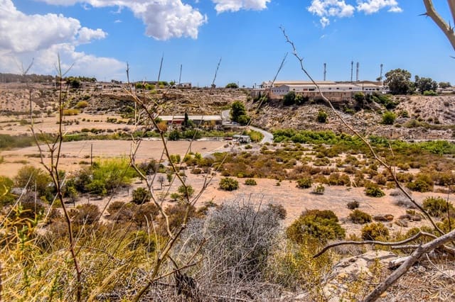 Grond te koop in Peña de las Águilas, Elche / Elx - € 1.485.000 (Ref: 8342121)