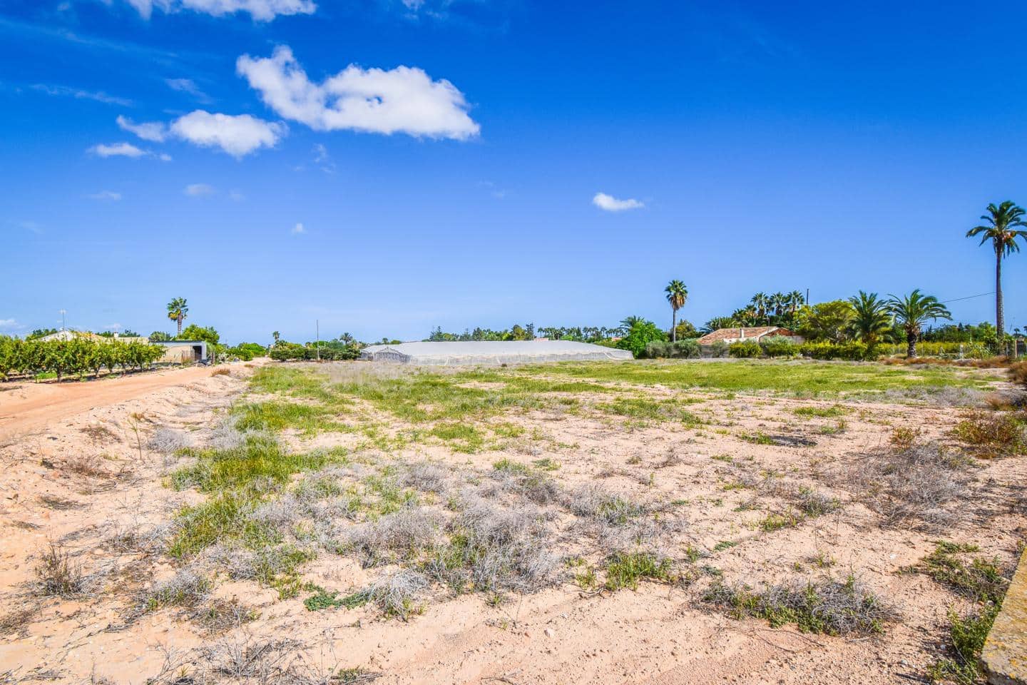 Landgrundstück zu verkaufen in Elche / Elx - 138.000 € (Ref: 8509239)