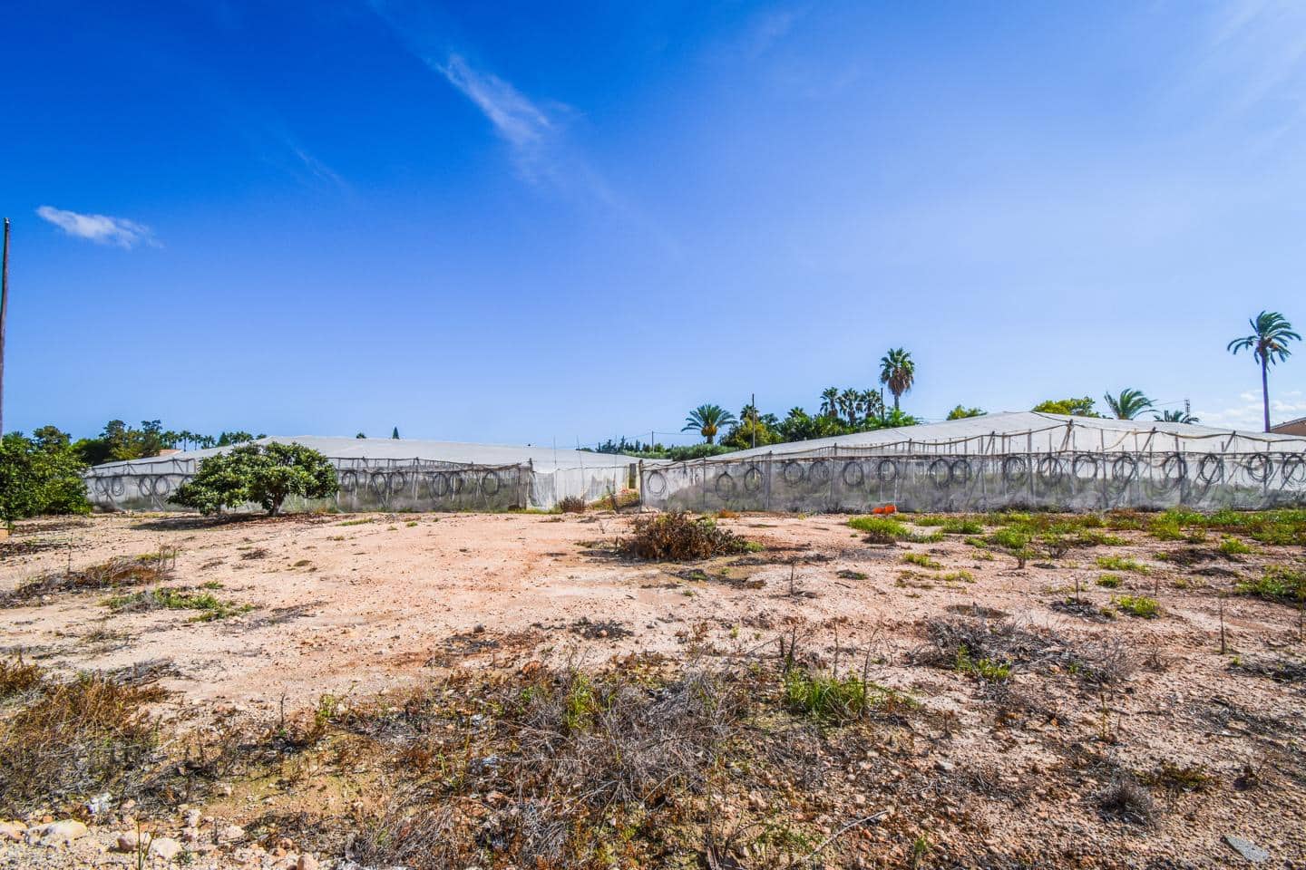 Landgrundstück zu verkaufen in Elche / Elx - 138.000 € (Ref: 8509239)