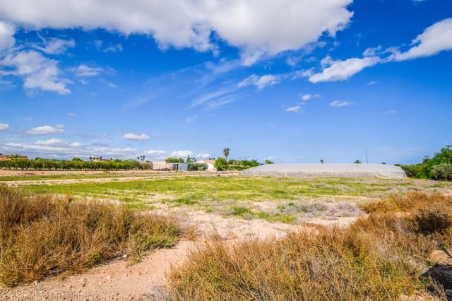 Landgrundstück zu verkaufen in Alzabares, Elche / Elx - 138.000 € (Ref: 8509239)