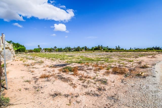 Landgrundstück zu verkaufen in Alzabares, Elche / Elx - 138.000 € (Ref: 8509239)