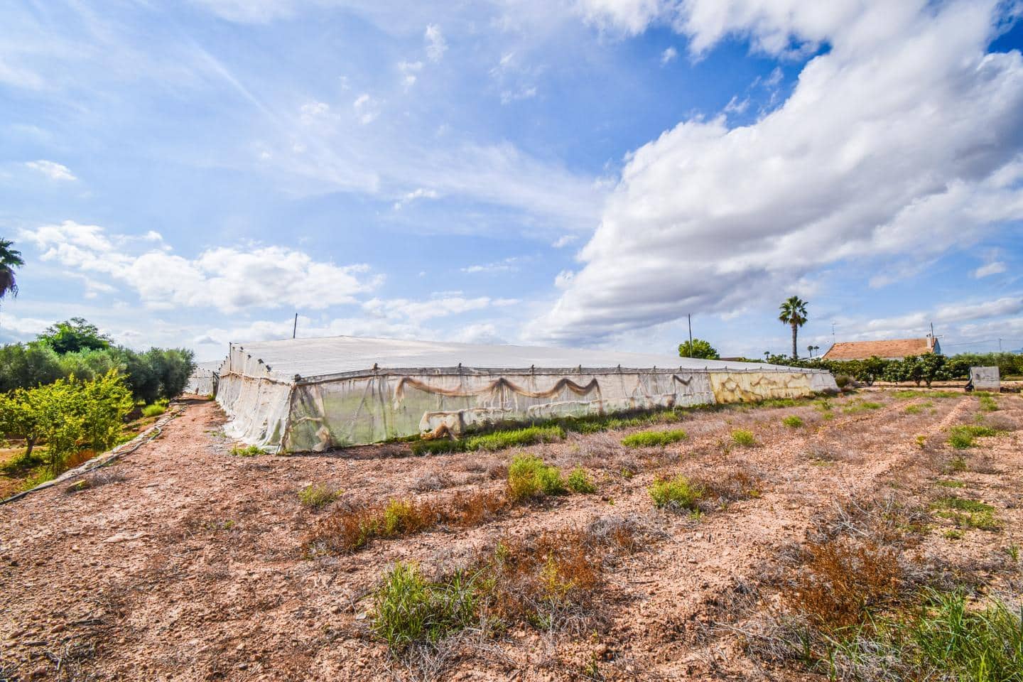 Landgrundstück zu verkaufen in Elche / Elx - 138.000 € (Ref: 8509239)