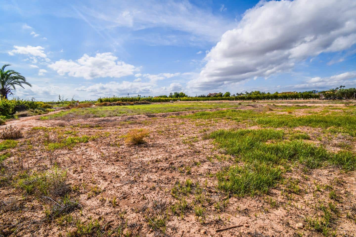 Landgrundstück zu verkaufen in Elche / Elx - 138.000 € (Ref: 8509239)