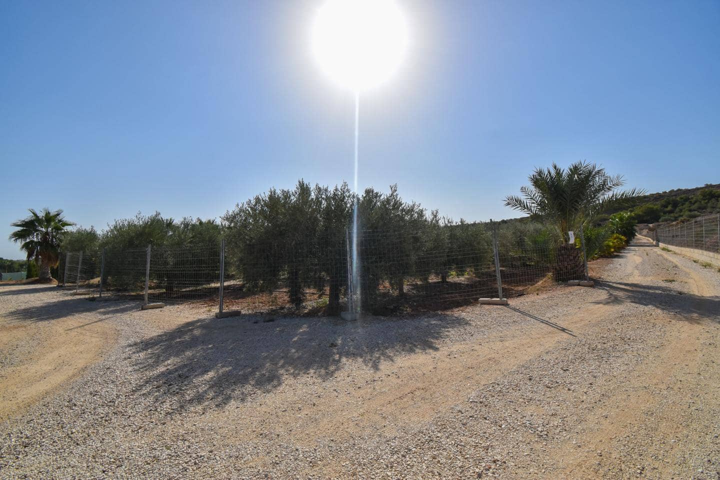 Grunde uden byggetilladelser til salg i Torrellano - € 370.000 (Ref: 8623342)