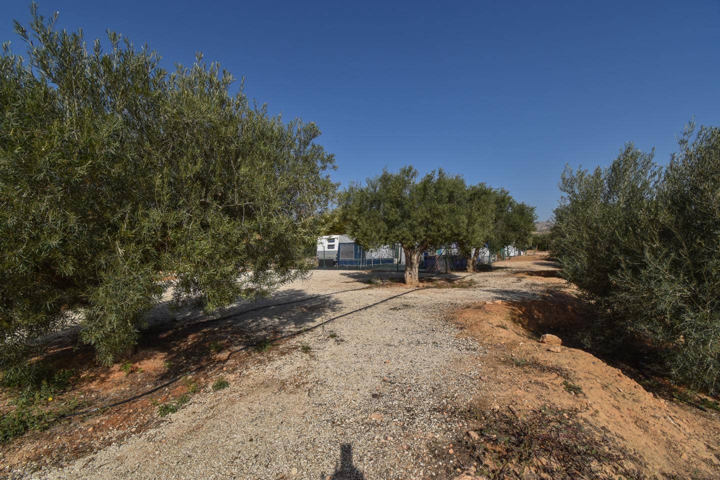 Grunde uden byggetilladelser til salg i Torrellano - € 370.000 (Ref: 8623342)