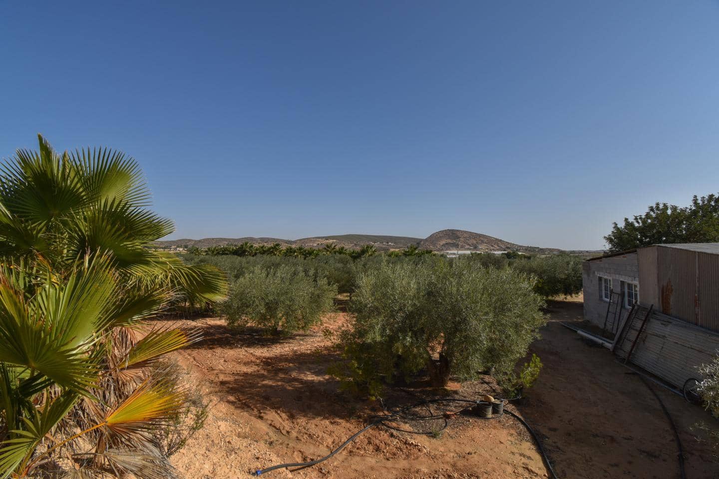 Grunde uden byggetilladelser til salg i Torrellano - € 370.000 (Ref: 8623342)