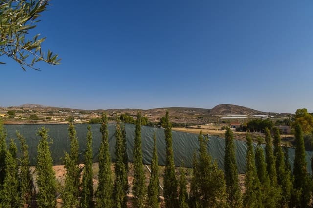 Undeveloped Land for sale in Torrellano, Elche / Elx - € 370,000 (Ref: 8623342)