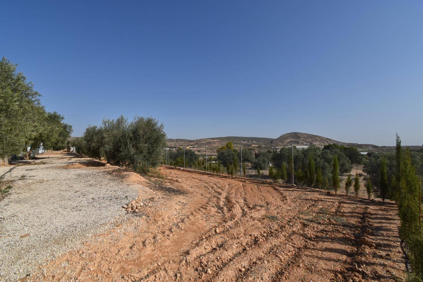 Grunde uden byggetilladelser til salg i Torrellano - € 370.000 (Ref: 8623342)