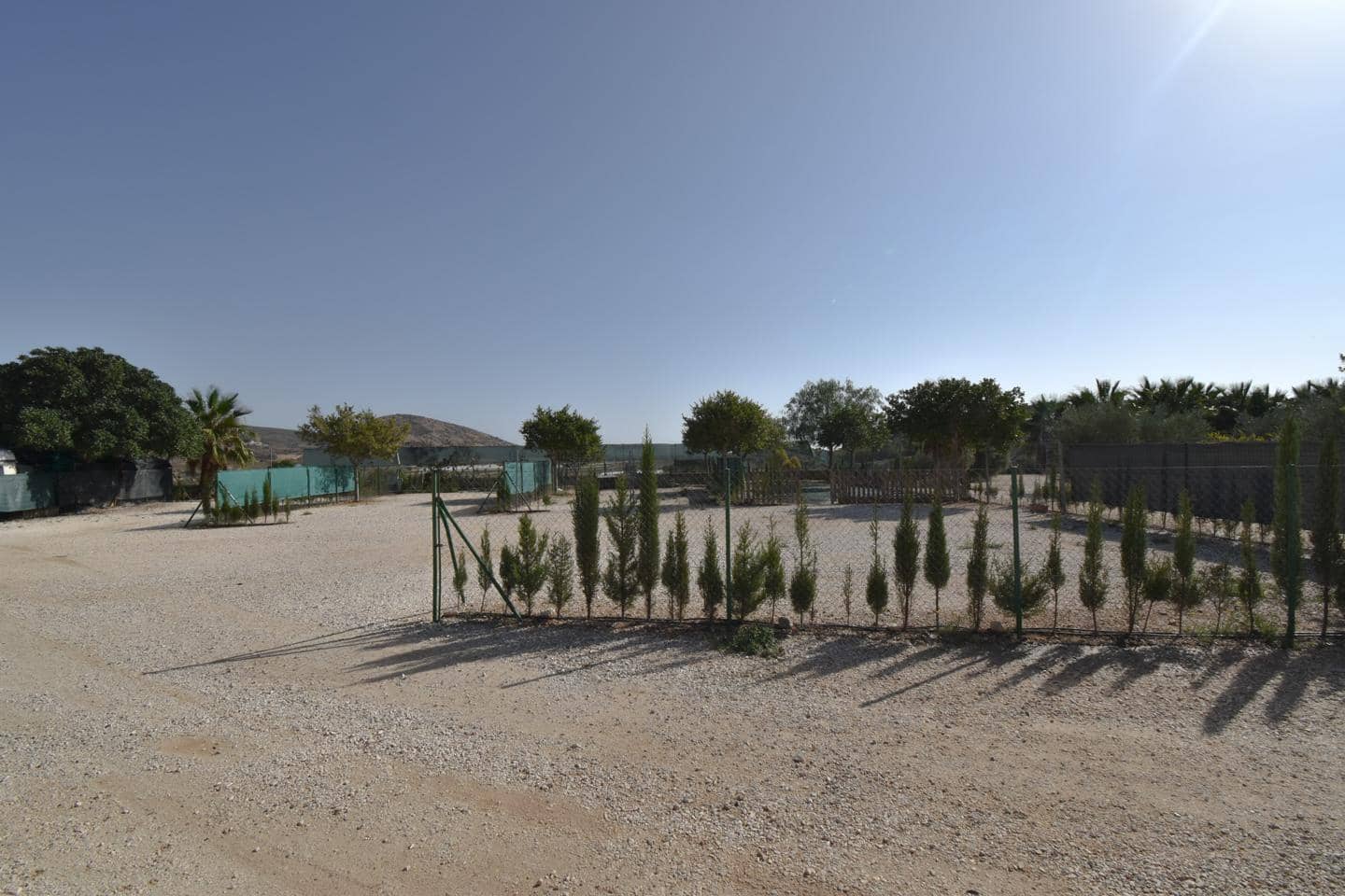 Grunde uden byggetilladelser til salg i Torrellano - € 370.000 (Ref: 8623342)