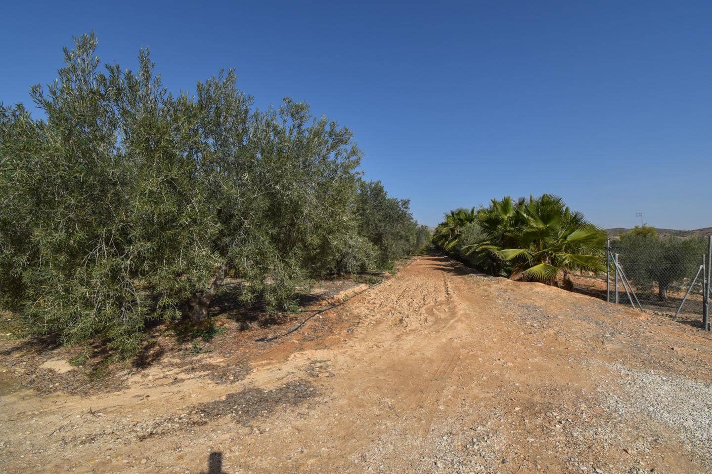 Grunde uden byggetilladelser til salg i Torrellano - € 370.000 (Ref: 8623342)