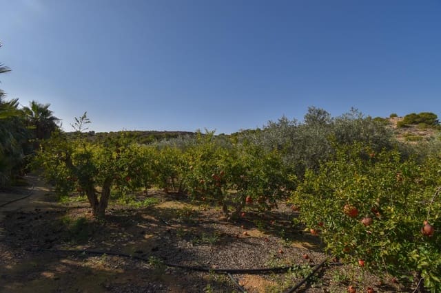Undeveloped Land for sale in Torrellano, Elche / Elx - € 370,000 (Ref: 8623342)