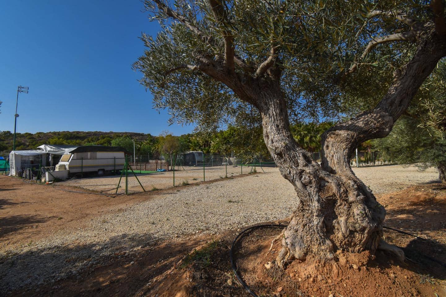 Grunde uden byggetilladelser til salg i Torrellano - € 370.000 (Ref: 8623342)