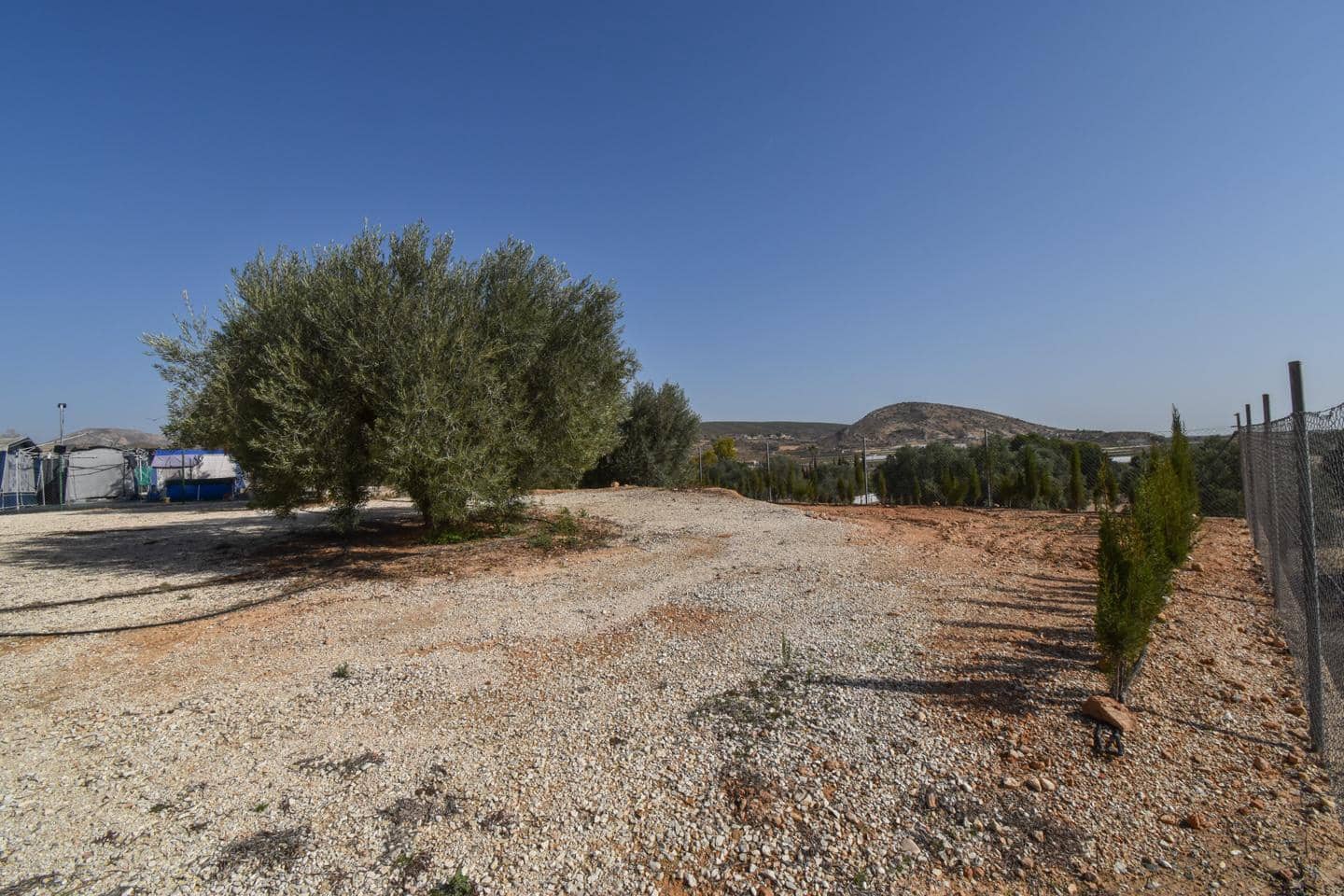 Grunde uden byggetilladelser til salg i Torrellano - € 370.000 (Ref: 8623342)