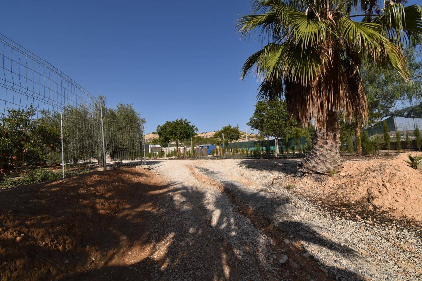 Grunde uden byggetilladelser til salg i Torrellano - € 370.000 (Ref: 8623342)