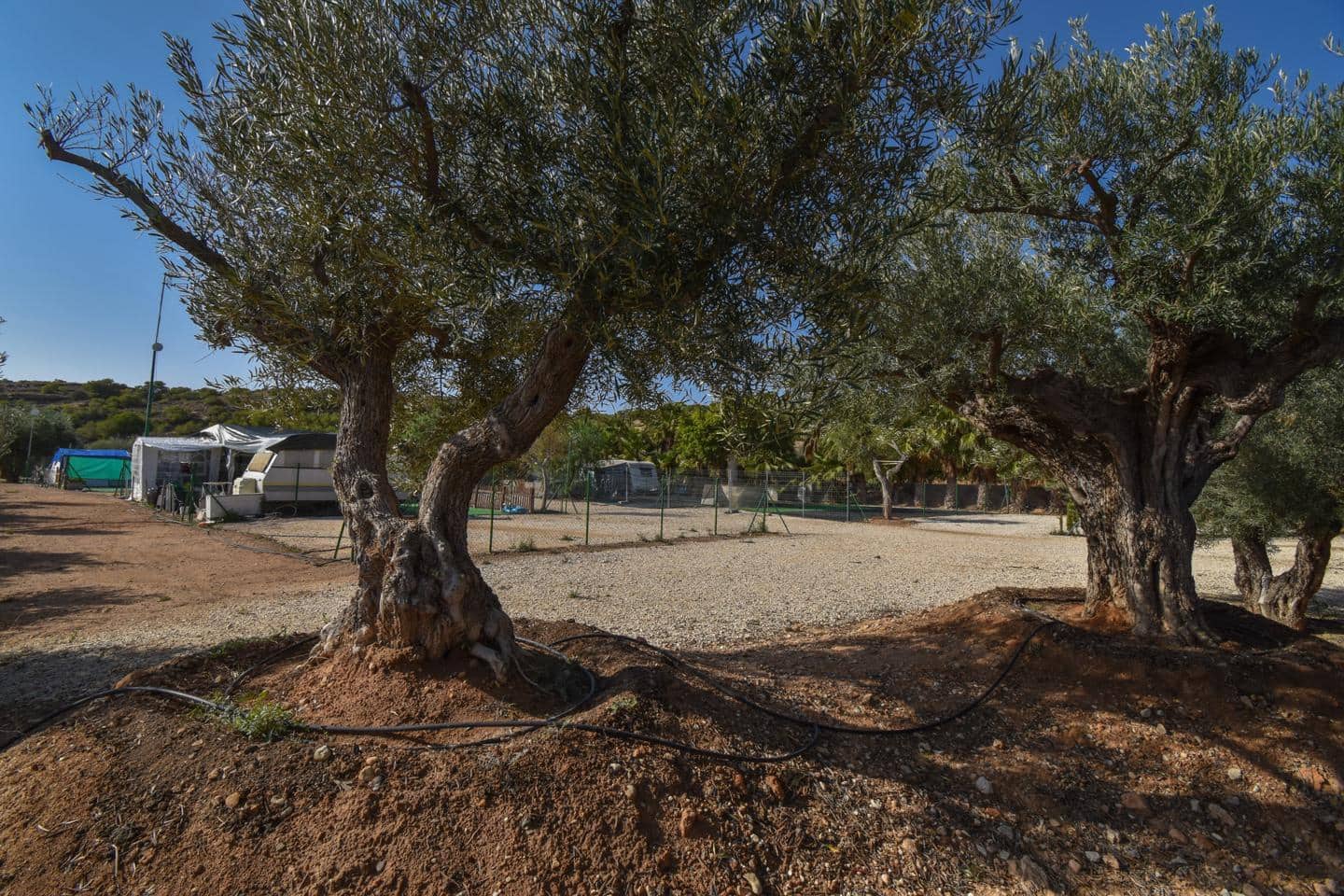 Grunde uden byggetilladelser til salg i Torrellano - € 370.000 (Ref: 8623342)