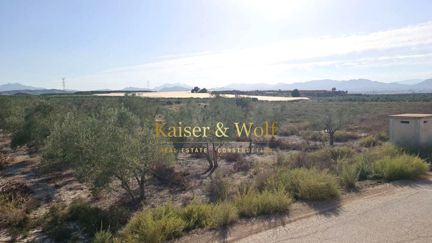 Teren niezagospodarowany na sprzedaż w Elche / Elx - 79 000 € (Ref: 8692093)