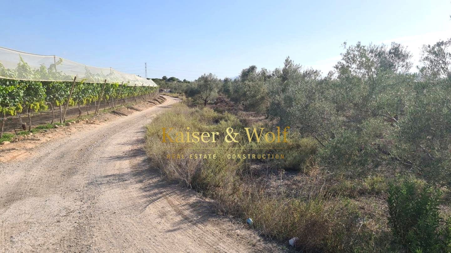 Teren niezagospodarowany na sprzedaż w Elche / Elx - 79 000 € (Ref: 8692093)