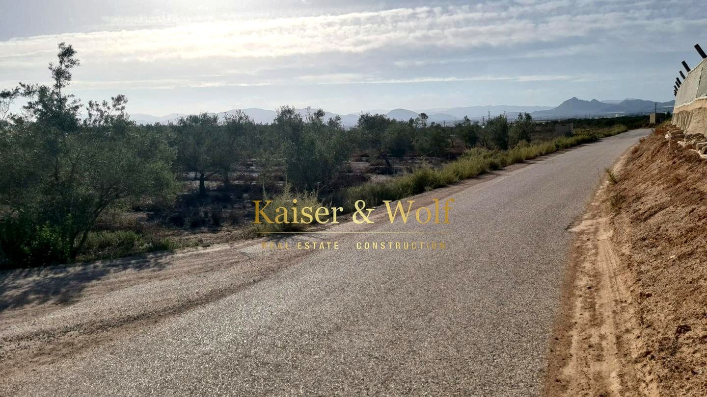 Teren niezagospodarowany na sprzedaż w Elche / Elx - 79 000 € (Ref: 8692093)