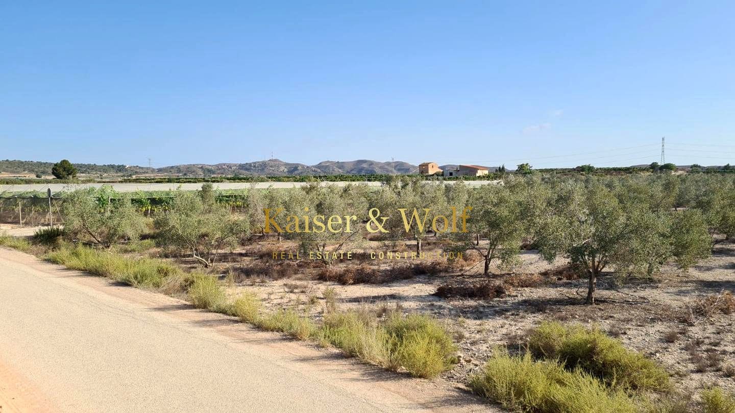 Teren niezagospodarowany na sprzedaż w Elche / Elx - 79 000 € (Ref: 8692093)