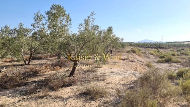 Grond te koop in Elche / Elx - € 79.000 (Ref: 8692093)