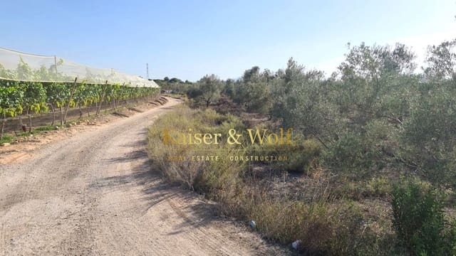 Grond te koop in Elche / Elx - € 79.000 (Ref: 8692093)