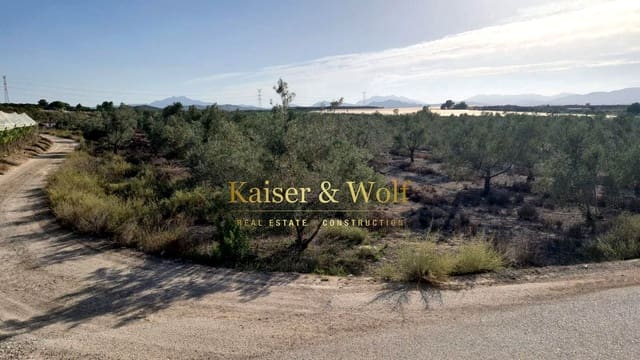 Grond te koop in Elche / Elx - € 79.000 (Ref: 8692093)