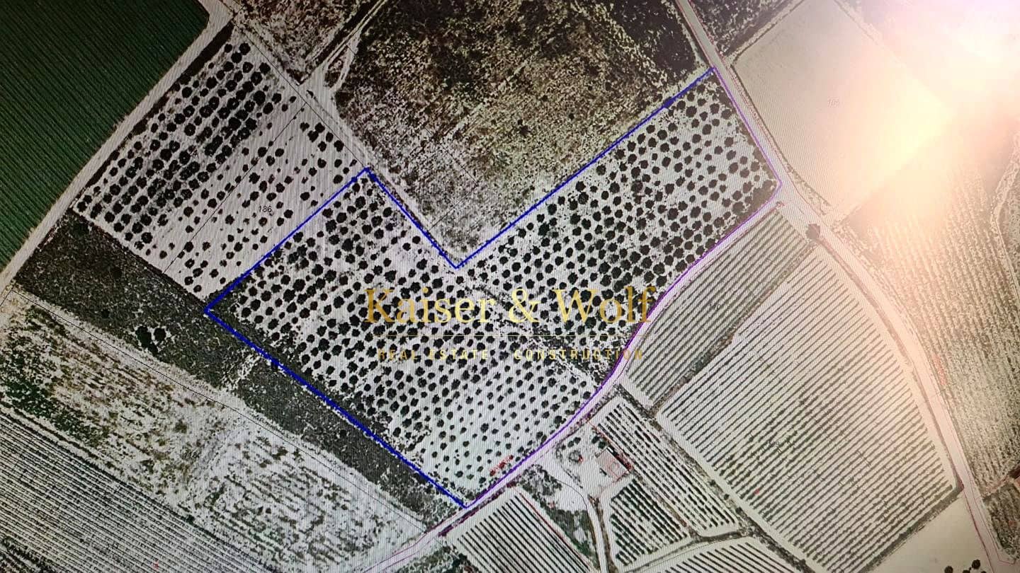 Teren niezagospodarowany na sprzedaż w Elche / Elx - 79 000 € (Ref: 8692093)