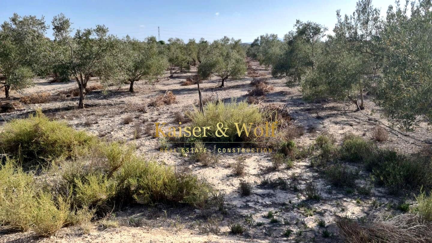 Teren niezagospodarowany na sprzedaż w Elche / Elx - 79 000 € (Ref: 8692093)