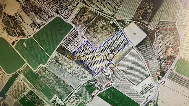 Grond te koop in Elche / Elx - € 79.000 (Ref: 8692093)