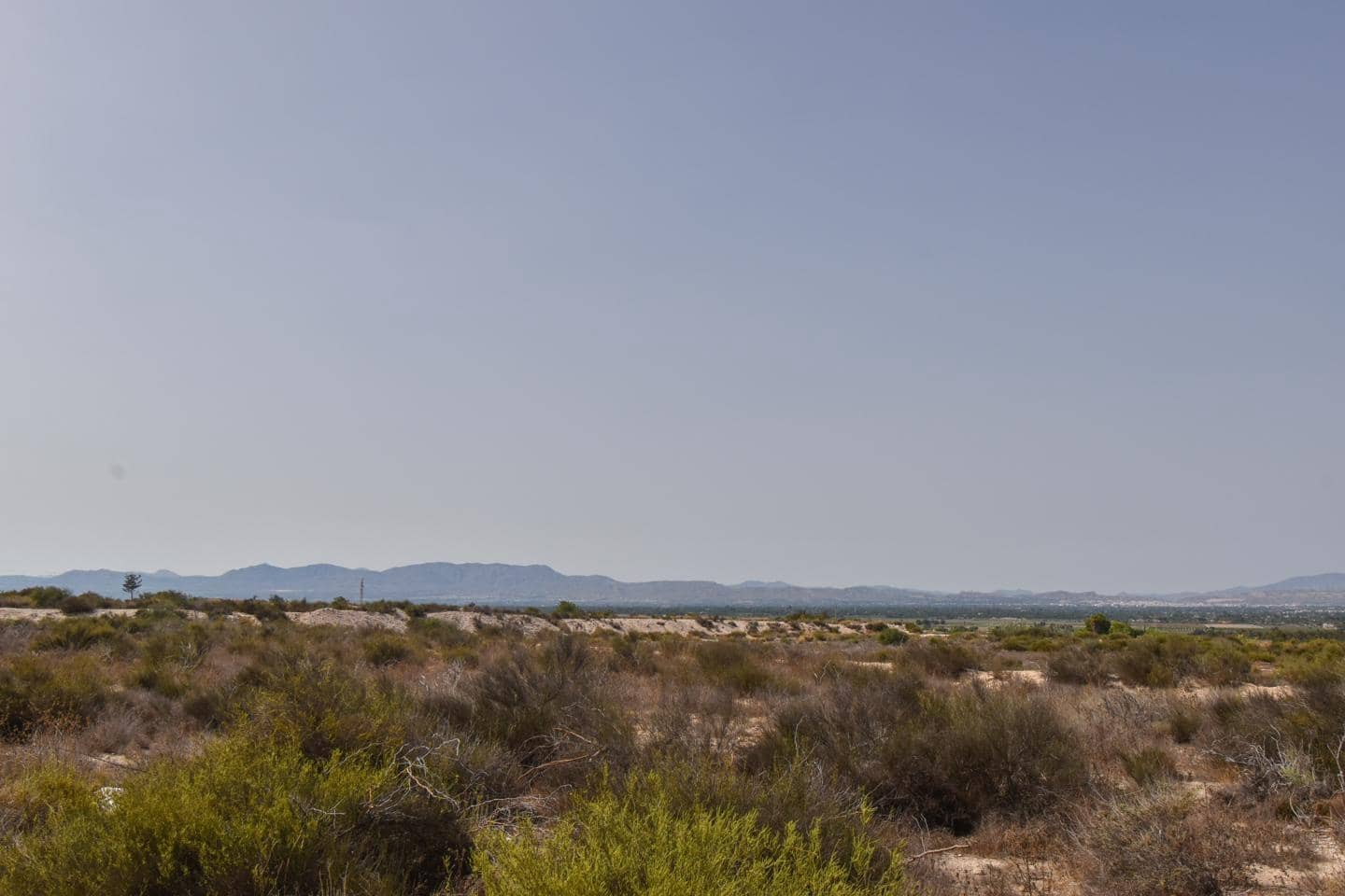 4 soveværelse Finca/Landehus til salg i Elche / Elx med swimmingpool garage - € 279.000 (Ref: 9164832)